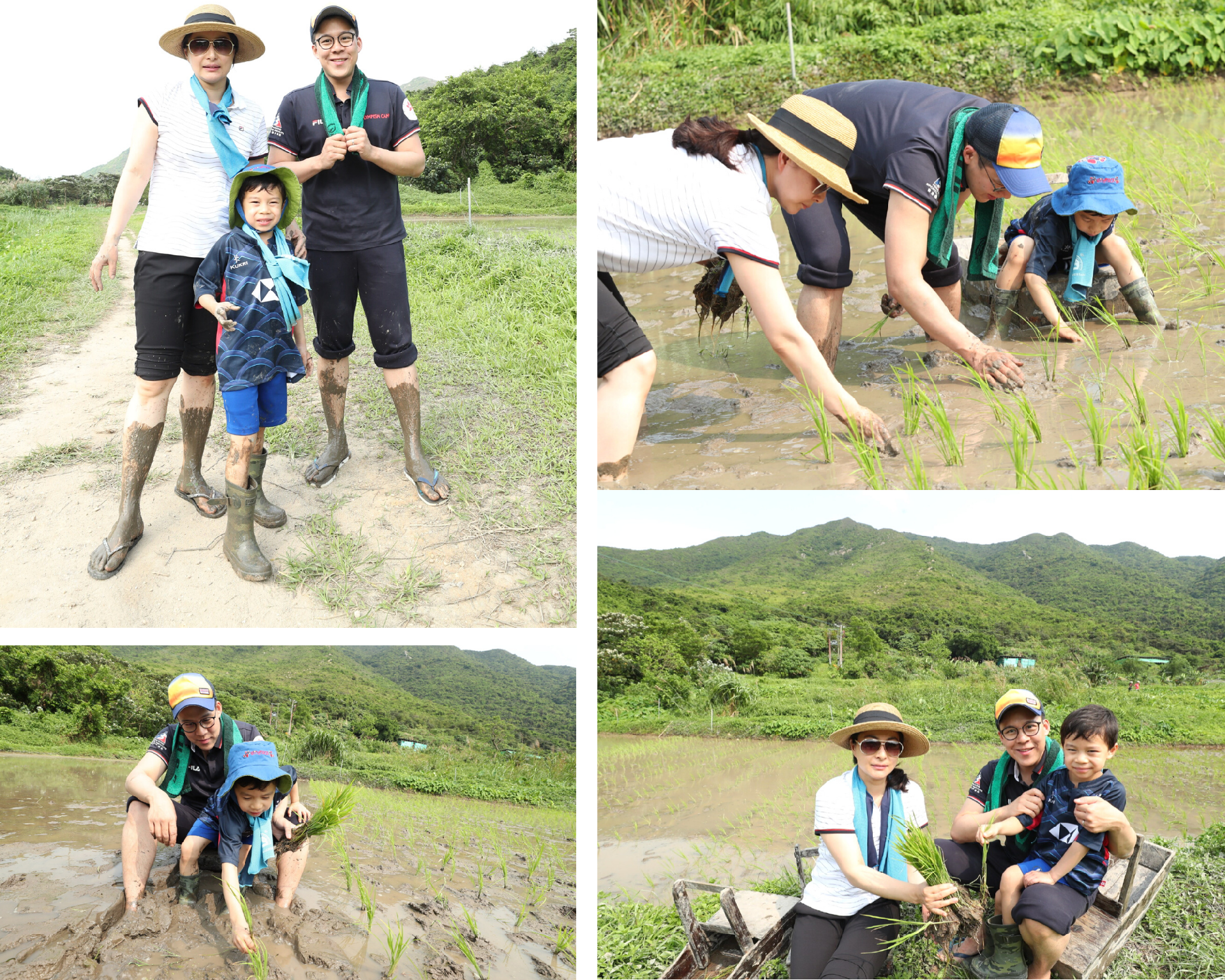 P16.png