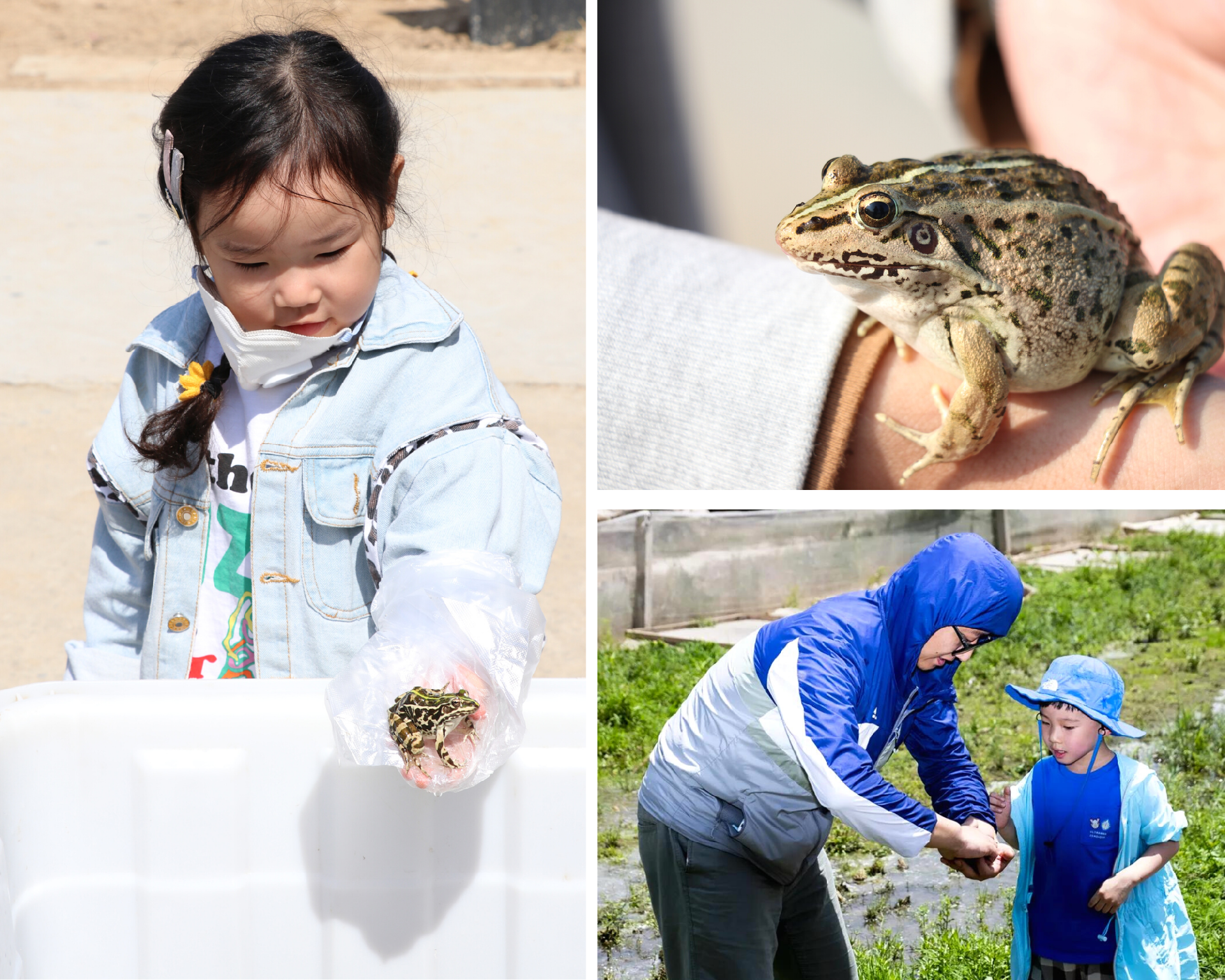 P14.png
